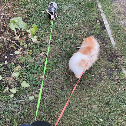 Dual Retractable Dog Leash with LED Light for Small Dogs