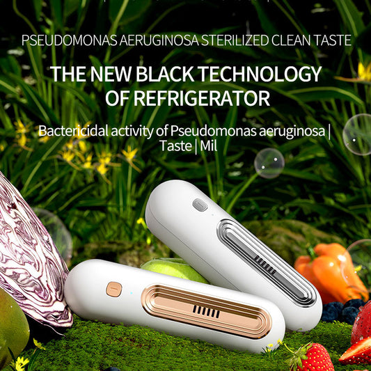 Air Purifier, Refrigerator Deodorizer, Household Deodorizer, Ozone